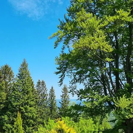 Goscinne Przy Kosciele Wang.