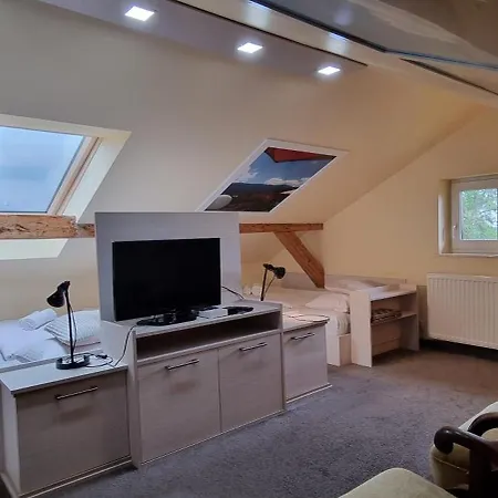 招待所 Goscinne Przy Kosciele Wang.