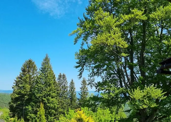 Goscinne Przy Kosciele Wang.